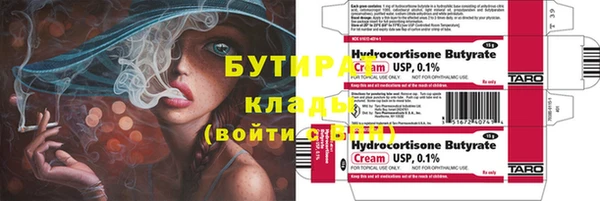 шишки Коряжма