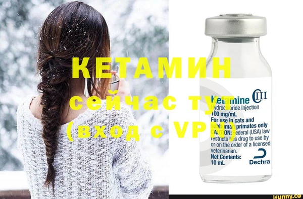 шишки Коряжма
