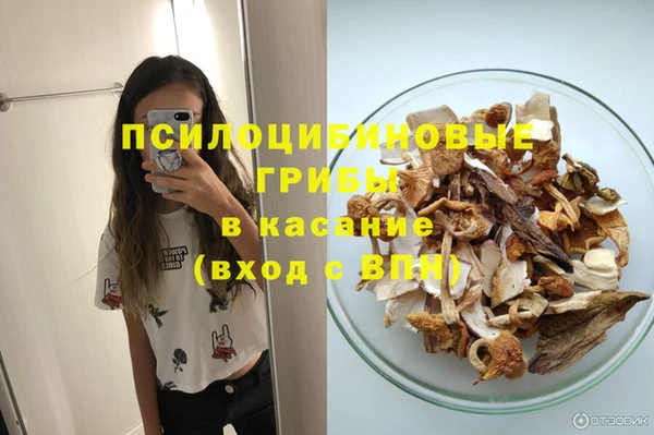 спиды Краснослободск