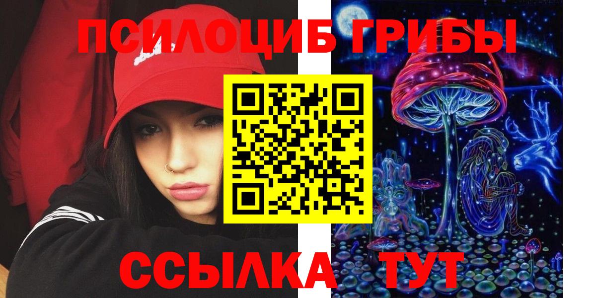 Красный Сулин  Псилоцибиновые грибы Cubensis  Вход с VPN 